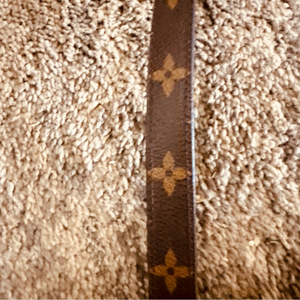 Louis Vuitton Adjustable Monogram Strap - image 8